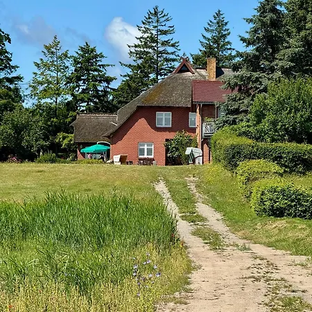 Krull App 03 Althagen