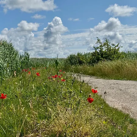 Apartament Krull App 03